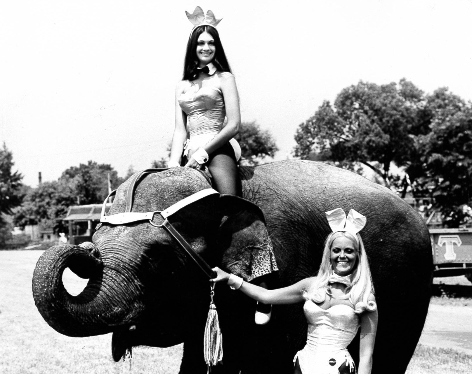 Circus time